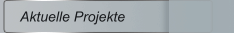 Aktuelle Projekte