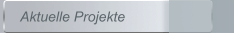 Aktuelle Projekte